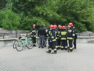 Pijany mężczyzna wszedł do wybiegu dla niedźwiedzi