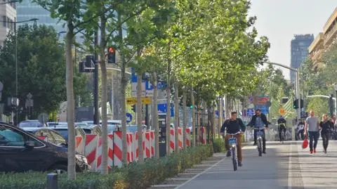 Zielona Świętokrzyska. Jednak się dało