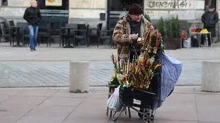 Palmy na Krakowskim Przedmieściu