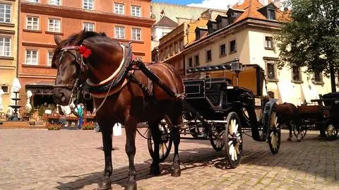 Urzędnicy wzięli się za dorożki. "Koń musi mieć paszport"