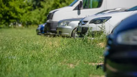 "Cienia szukałem", "tylko na chwilę". Kolejna debata o parkowaniu na dziko 