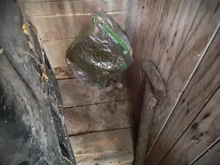 Ukrywał marihuanę w wychodku