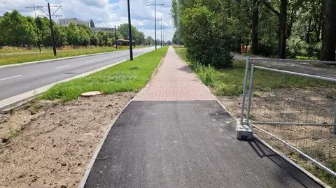 Droga dla rowerów wzdłuż Sobieskiego