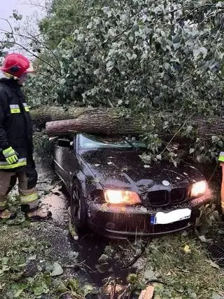 Drzewo runęło na auto 