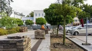 Przed ciechanowskim ratuszem będzie więcej zieleni