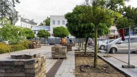 Przed ciechanowskim ratuszem będzie więcej zieleni