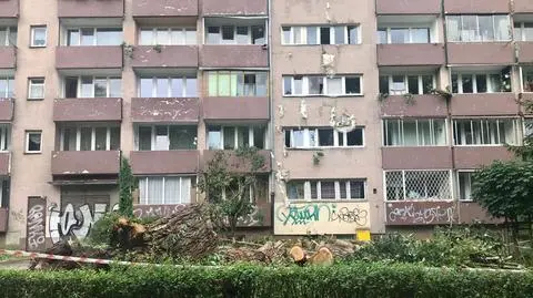 Drzewo runęło na blok. Wybite szyby, zniszczona elewacja 