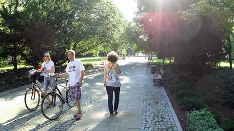 Niedziela wyjątkowo słoneczna