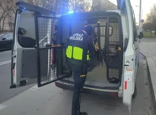 City guards intervened against a drunk bus passenger