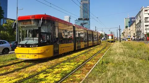 Tramwajarze zazielenią torowiska w centrum (wizualizacja)