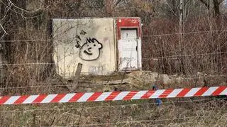 Odbudowa domków fińskich. "Prace, których jeszcze nie widać"