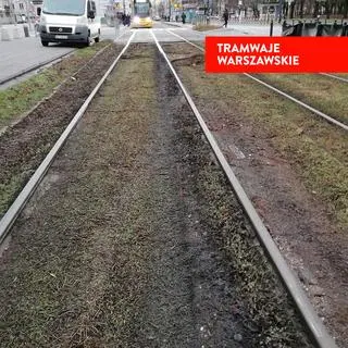 Rozjeżdżony rozchodnik na torowisku 