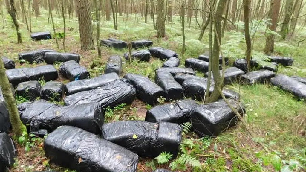 Takie "pakunki" ktoś porzucił w lesie, ich właściciela szuka policja