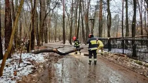 Drzewo zablokowało im dojazd do domów