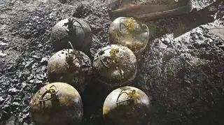 Pożar pod Grodziskiem Mazowieckim