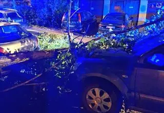 "Kilka grubych gałęzi spadło na zaparkowane pod drzewem auta"