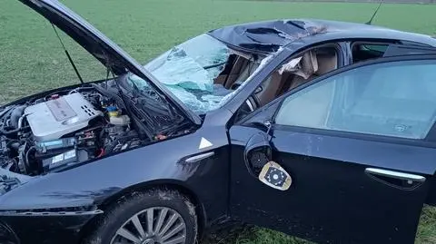 Auto osobowe zderzyło się z łosiem w gminie Pomiechówek