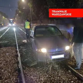 Rozjeżdżony rozchodnik na torowisku 
