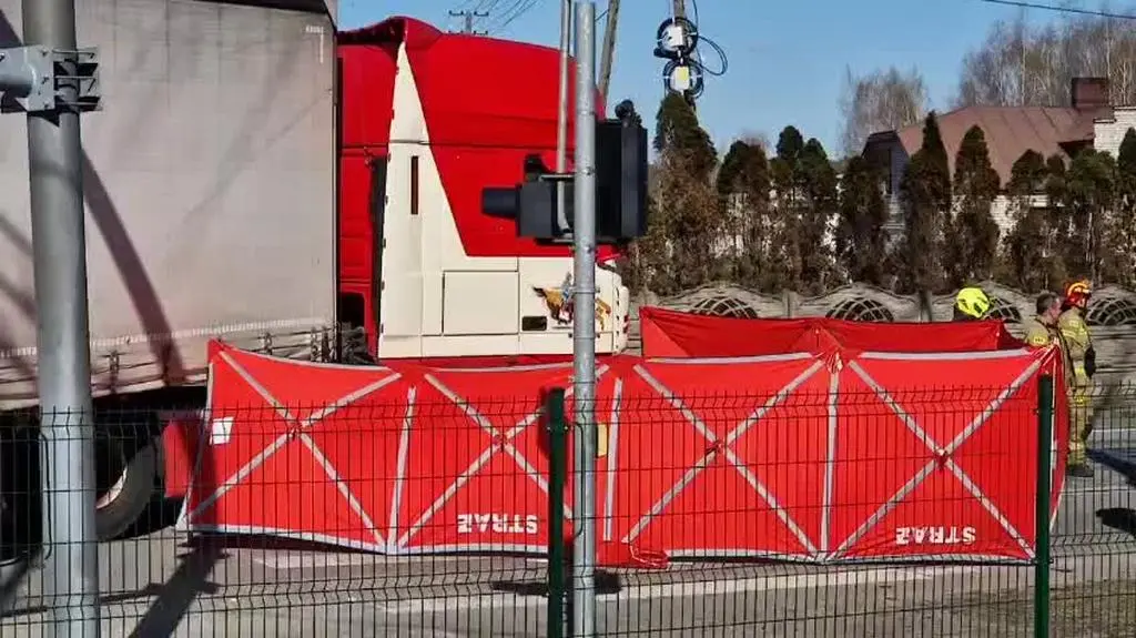 WhatsApp Video 2025-04-03 at 15