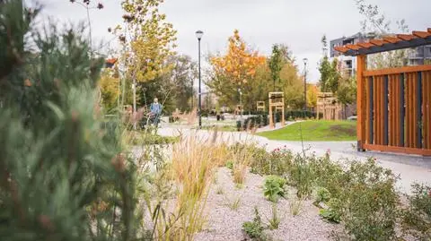 Zieleń zamiast betonu na Pradze Północ, park kieszonkowy na Bemowie