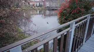 Prace na Stawach Brustmana