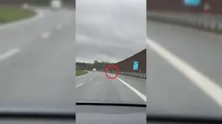 Mężczyzna spacerował po ruchliwej trasie S7