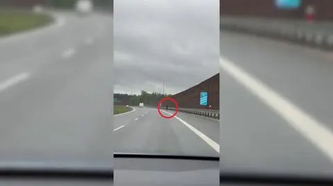 Mężczyzna spacerował po ruchliwej trasie S7
