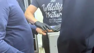 Zatrzymali członka tureckiej mafii, miał przy sobie broń