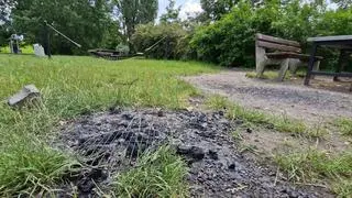 Grillowanie w Parku Górczewska