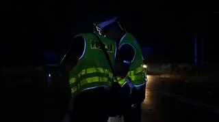 Uwaga na zwierzęta na drogach