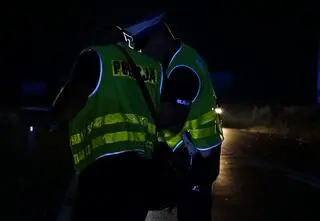 Uwaga na zwierzęta na drogach