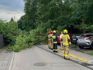 Skutki burzy na ulicy Czajewicza w Piasecznie