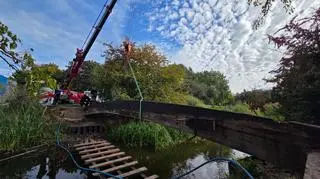 Prace na Stawach Brustmana