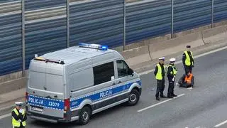 Ostatnie Pokolenie na trasie S8