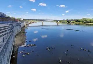 Wisła znowu pobiła niechlubny rekord 