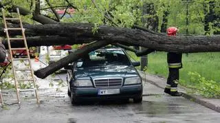 Drzewo runęło na samochody