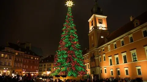 Choinka na placu Zamkowym 