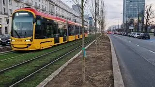 Sadzenie drzew wzdłuż torowiska na Marszałkowskiej