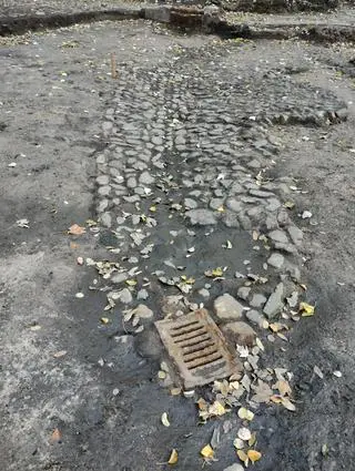 Piwnice XIX-wiecznej kamienicy przy Twardej