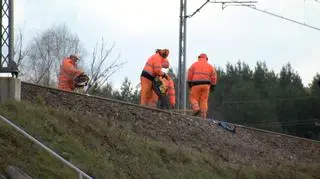 Prace naprawcze w rejonie stacji PKP Mika