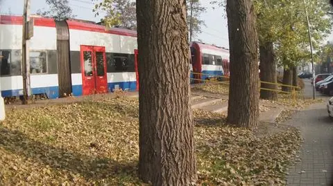 Walka o drzewa przy linii WKD: wycięli cztery, czternaście zostawili