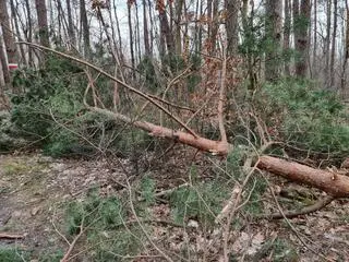 Do wypadku doszło w okolicach ulicy Mlądzkiej w Emowie 