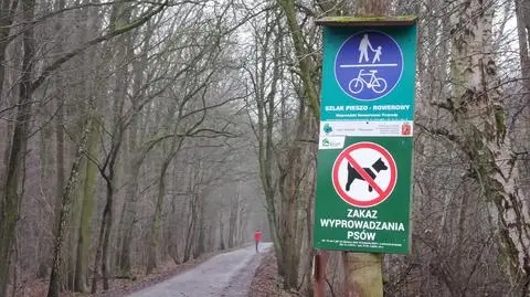 Radny chce zamknięcia Lasu Kabackiego, ratusz odpowiada