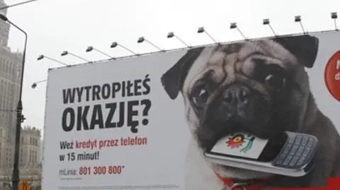 Urzędnicy idą na wojnę z bilbordem - gigantem