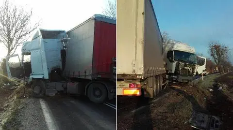 Auto ciężarowe na drzewie. Utrudnienia pod Warszawą