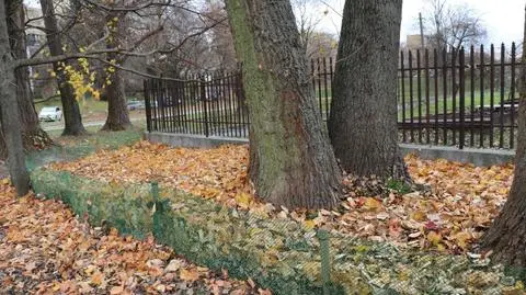 Azyle dla jeży w trzech parkach na Ursynowie