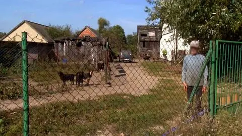 Nielegalna hodowla psów pod Warszawą. "20 zwierząt w boksie metr na metr"
