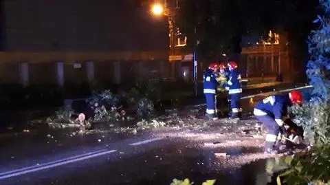Burzliwa noc w Warszawie. Strażacy przyjęli niemal 700 zgłoszeń