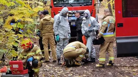 Spacerowiczka natknęła się w lesie na podejrzane beczki. Z jednej coś wyciekało