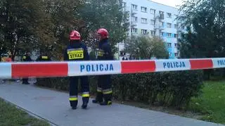 Policja znalazła pociski i granat